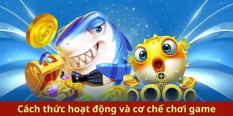 Cách Chơi Bắn Cá Royal Fishing Tại BJ88 Trúng Jackpot Mỗi Ngày 1 Cách Chơi Bắn Cá Royal Fishing Tại BJ88 Trúng Jackpot Mỗi Ngày